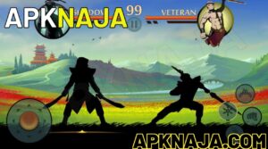Shadow Fight 2 APK